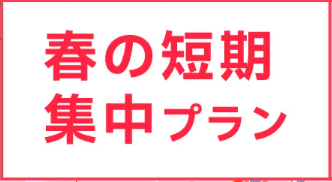 ベルリッツキッズ　キャンペーン