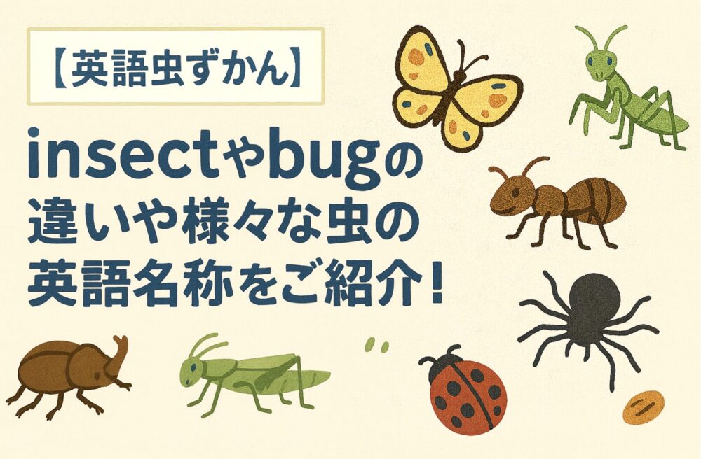 虫 英語
