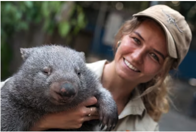 オーストラリアウォンバット