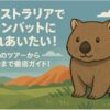 オーストラリアウォンバット