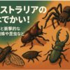 オーストラリア虫でかい