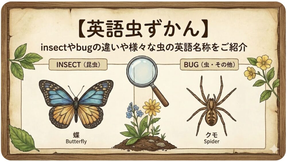 虫 英語