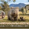 オーストラリアウォンバット
