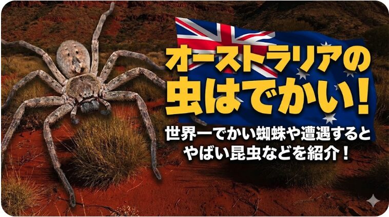 オーストラリア虫でかい